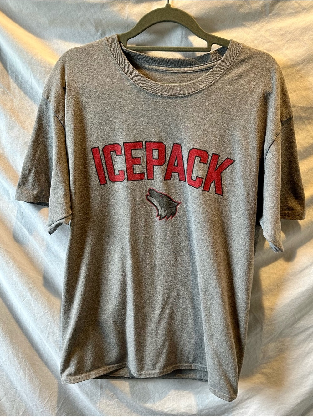 NC State ICEPACK Gray Hanes Tagless T-Shirt